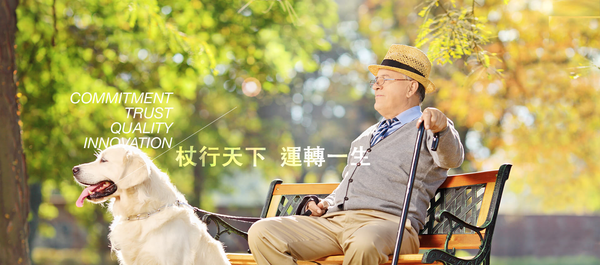 ISUN The best choice for leisure canes